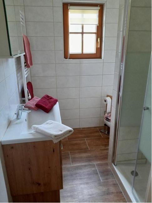 Appartement Haus Eder à Ramsau am Dachstein Extérieur photo